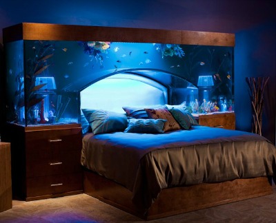 Aquarium Headdboard