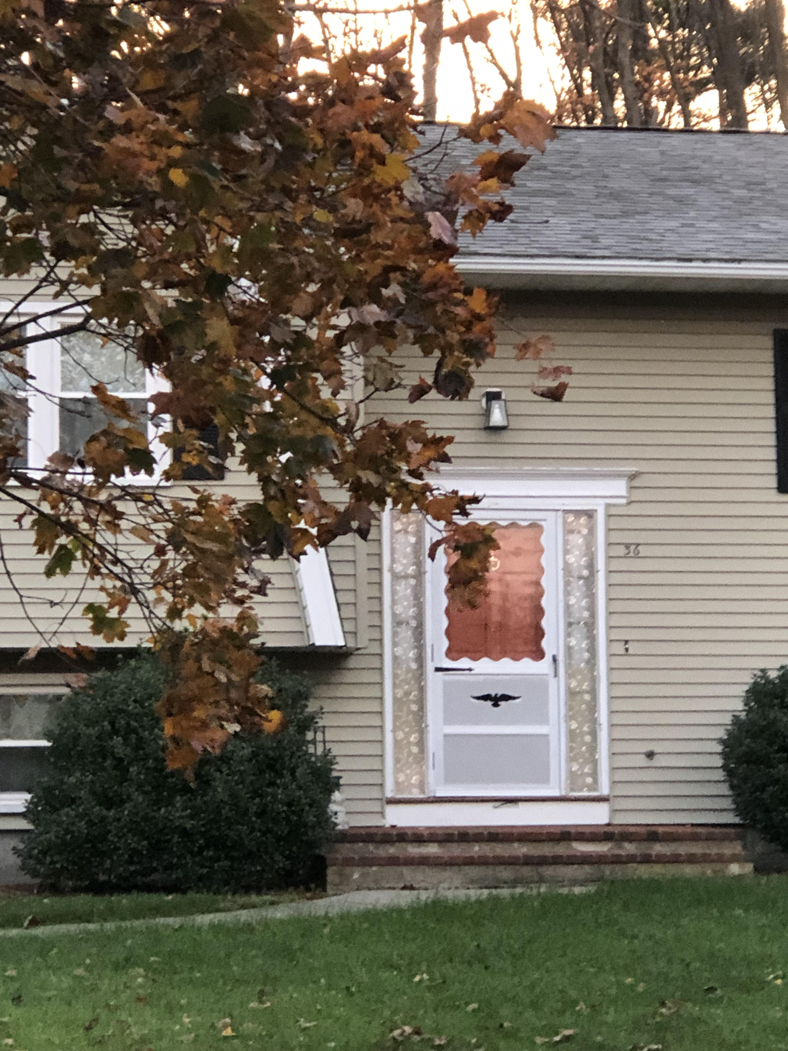 Home Decor - Painted My Front Door