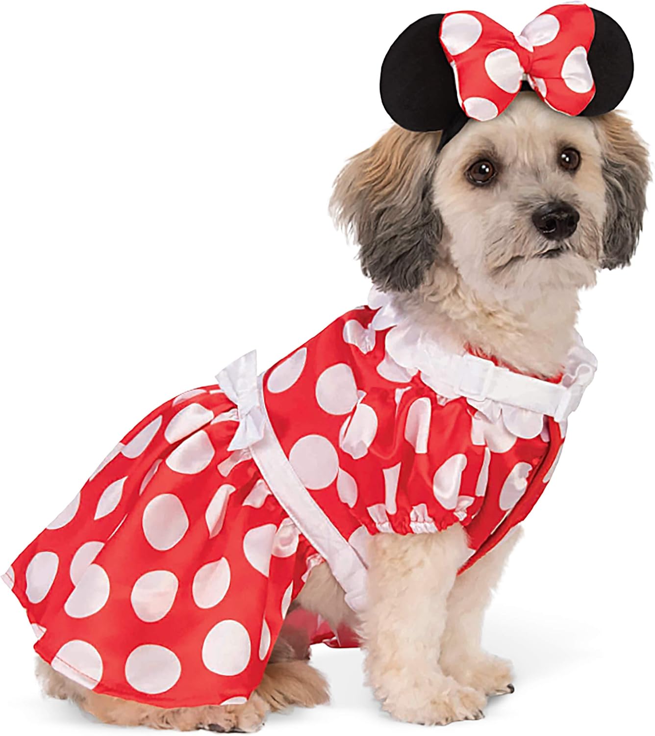 Minnie Mouse Pet Costume for Halloween