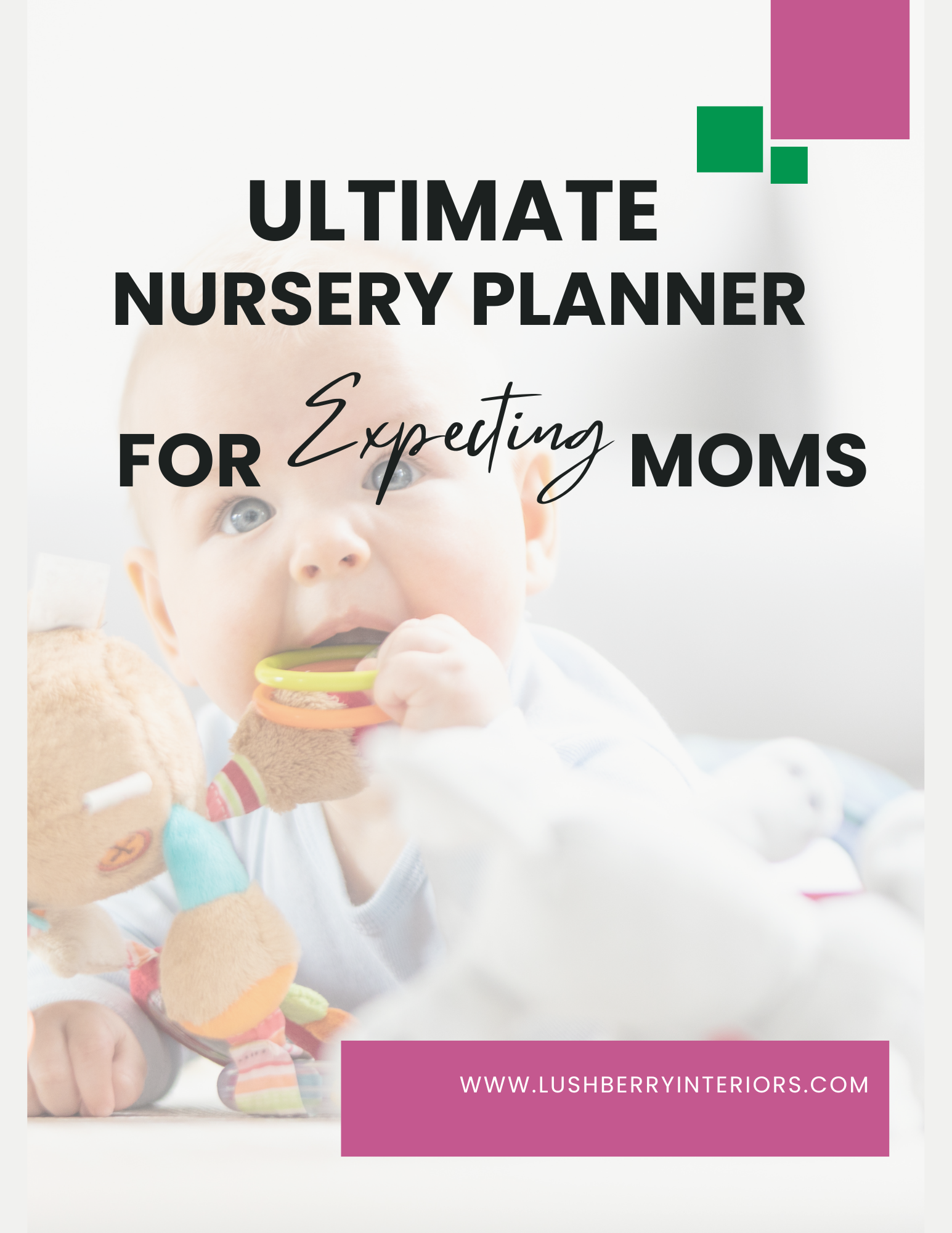 Ultimate Nursery Planner and Calendar